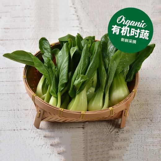 有机小青菜 Organic Bok Choy 200g 商品图0