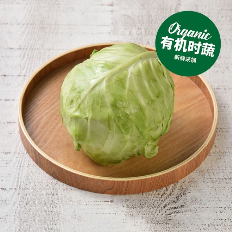 有机甘蓝 Organic Cabbage 600g