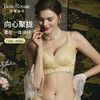 皇家丽美2023新款香榭之恋系列无钢圈一体式调整型文胸3/4杯型WJ2309-2 商品缩略图2