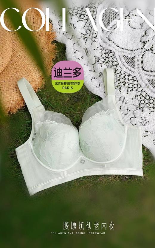 迪兰多夏季透气轻薄舒适兔耳朵杯调整型内衣聚拢性感文胸2118415 商品图3