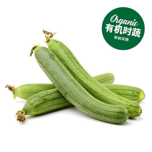 有机丝瓜  Organic Luffa 400g 商品图0
