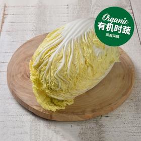有机大白菜 Organic Chinese Cabbage 1000g