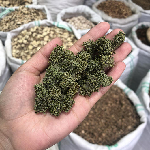 三七花  云南文山新货 足干新花田七话 商品图4