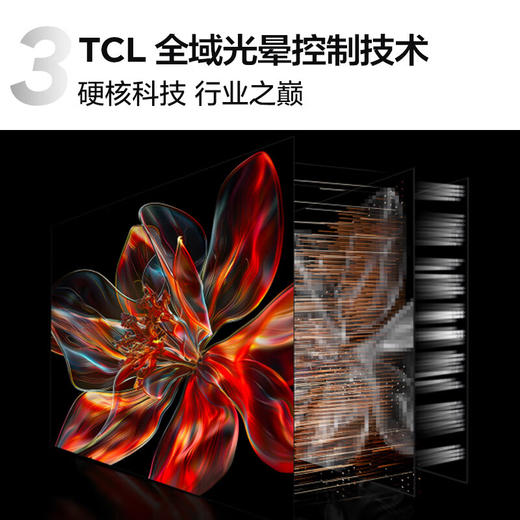 TCL电视98C12H 商品图1