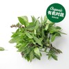 有机九层塔  Organic Thai Basil 20g/袋 商品缩略图0