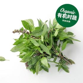 有机九层塔  Organic Thai Basil 20g/袋