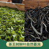 【茶王树】2021头春云南易武普洱生茶200克饼茶 商品缩略图3