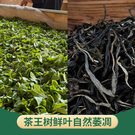 【茶王树】2021头春云南易武普洱生茶200克饼茶 商品图3