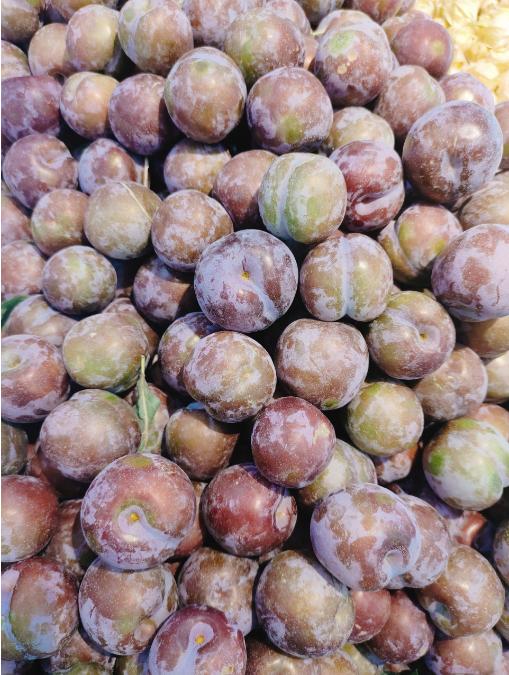 青红脆李3斤 商品图0