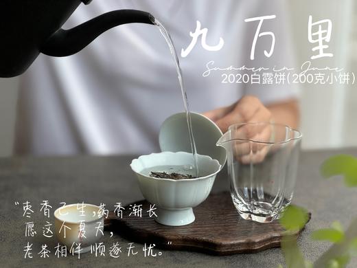 【老白茶开箱好礼】时隔3年，2020白露饼《小九万里》再次“荣”归，枣香浓郁、花蜜香、粽叶香！ 商品图9