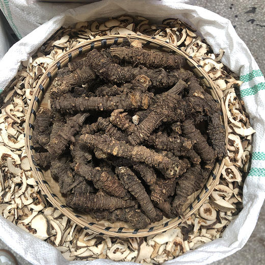 羌活 常用规格 川羌活切片  选装羌活 商品图4