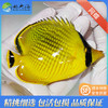 网蝶Chaetodon rafflesi 商品缩略图0