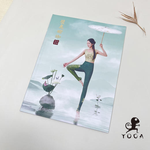 壁虎画册 商品图3