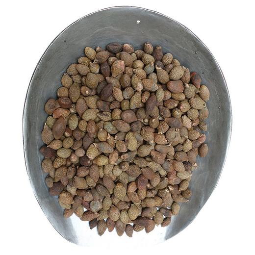 胖大海 500g 商品图2