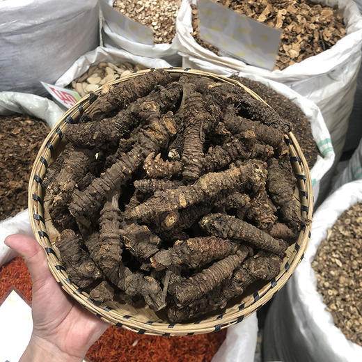 羌活 常用规格 川羌活切片  选装羌活 商品图0