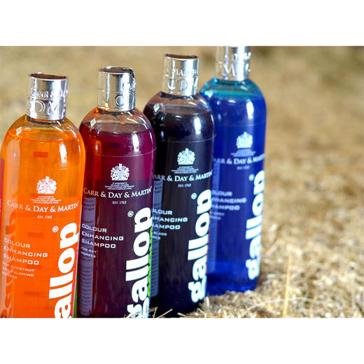 Gallop马匹增色洗发液 四色可选 马匹清洁品CDM 商品图1