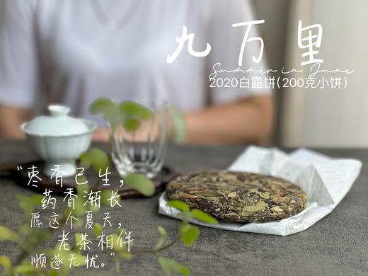 【老白茶开箱好礼】时隔3年，2020白露饼《小九万里》再次“荣”归，枣香浓郁、花蜜香、粽叶香！ 商品图5