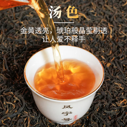 凤宁号金奖红茶【有机金毫】100克/盒 商品图5