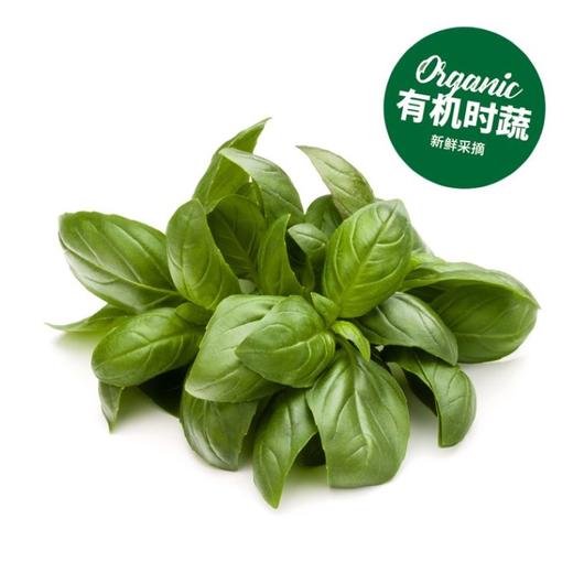 有机甜罗勒  Organic Basil 20g/袋 商品图0