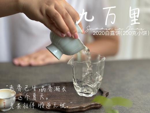 【老白茶开箱好礼】时隔3年，2020白露饼《小九万里》再次“荣”归，枣香浓郁、花蜜香、粽叶香！ 商品图12