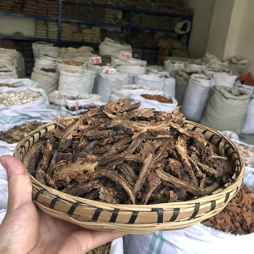 羌活 常用规格 川羌活切片  选装羌活 商品图6