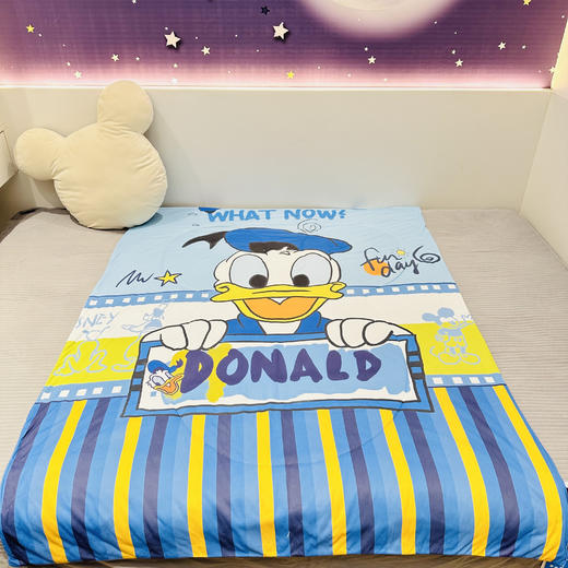💥【Disney迪士尼艾草抑菌儿童夏凉被（赠迪士尼手提礼袋）】✅1、百分百迪士尼正品可授权 商品图3