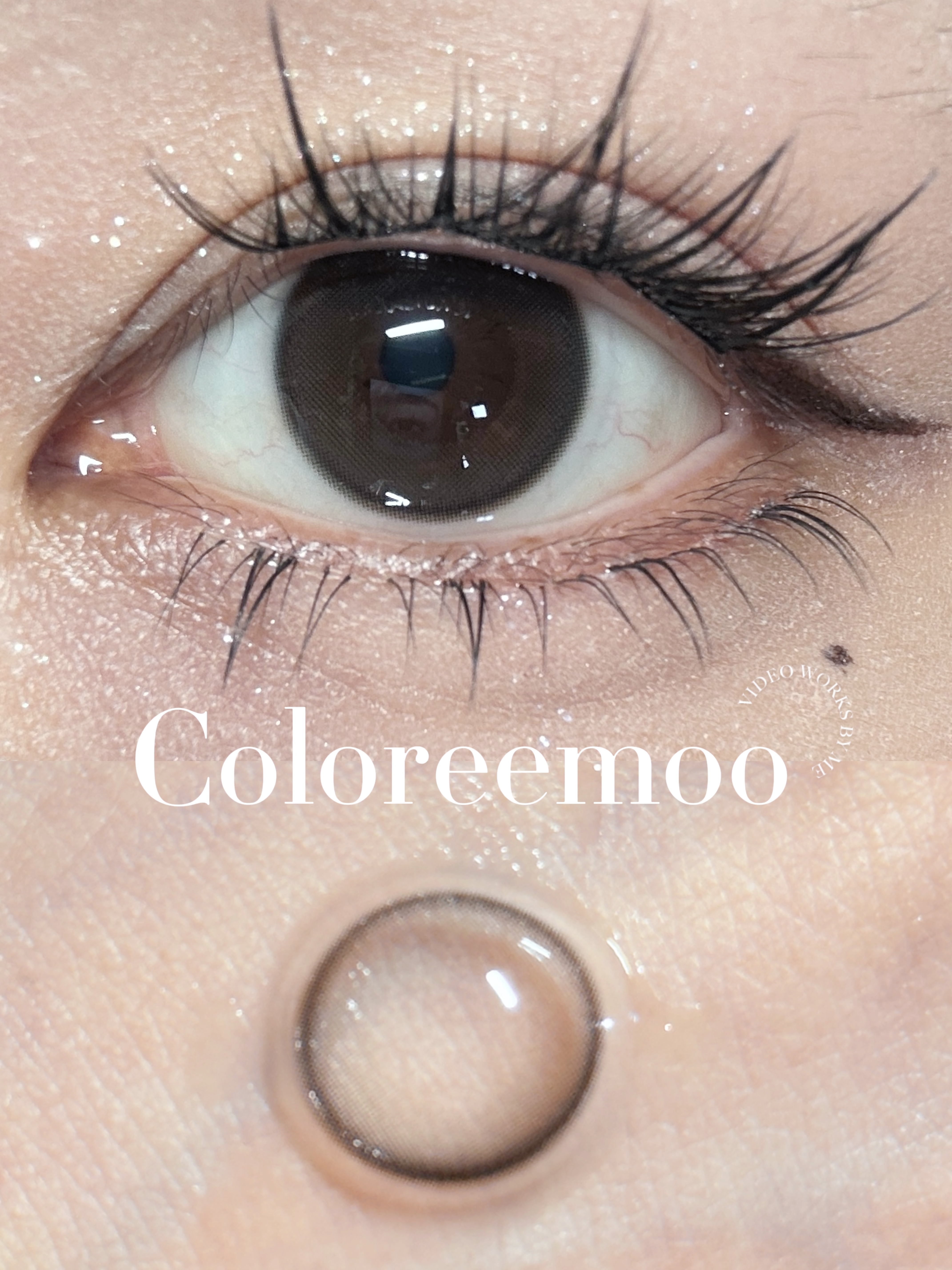 【🍃淡颜自然年抛】迷你茉莉 Coloree Moo