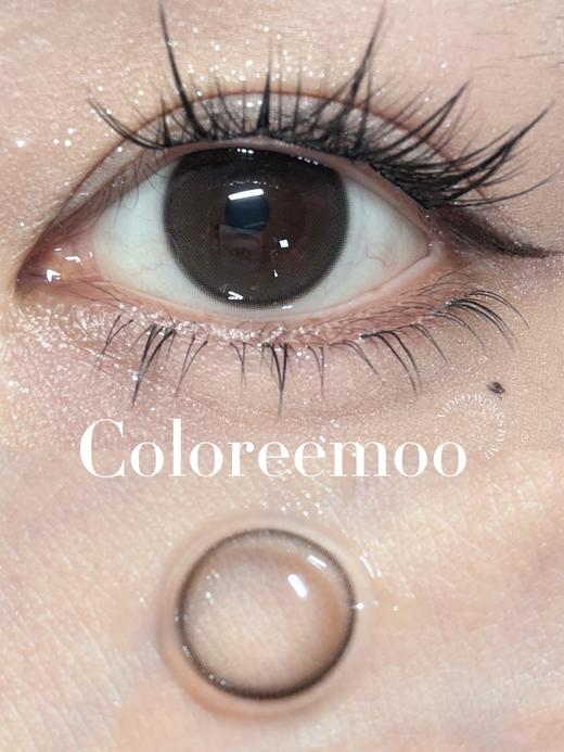 【🍃淡颜自然年抛】迷你茉莉 Coloree Moo 商品图0