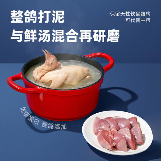 心选丨喵铮铮鸽老大全价主食猫条 12g*70支 低敏营养鸽肉湿粮零食 商品图1