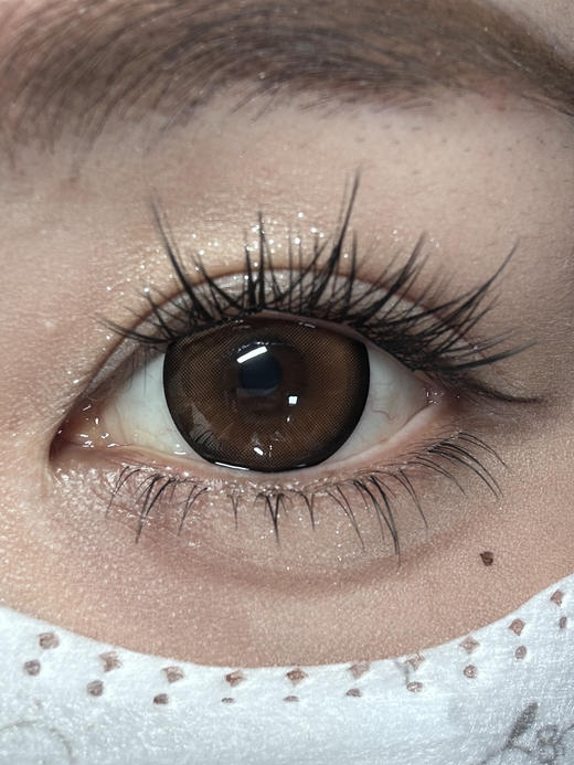 【大直径月抛】落日繁花·Kikicon丨14.5mm（月抛/2片装） 商品图5