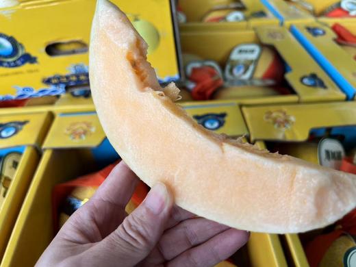 周日取货：【蛋仔派对黄金哈密瓜】一个3.5斤左右，甜蜜香甜，风味浓郁，果肉金黄！ 商品图5