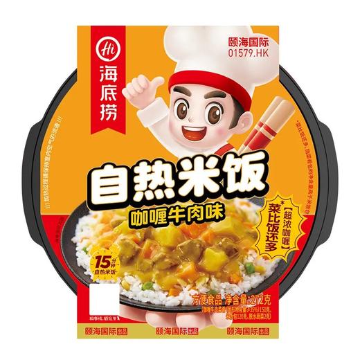 海底捞 咖喱牛肉方便米饭 272g 商品图0