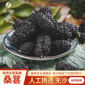 耐住沉淀的桑椹干 经日晒风干 得如此醇甜  头茬桑葚 百年老树，头茬桑葚，自然晾晒，人工精选，无任何添加