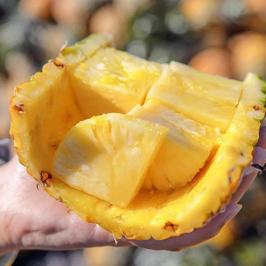 水蜜桃🍑凤梨
金钻凤梨常吃到，水蜜桃凤梨口感又会是不一样的层次🤩很好吃！！基本纯甜
果肉就像水蜜桃果肉的颜色～
吃起来也是爆汁甜💦
细腻、无纤维感 回味有淡淡的水蜜桃香🍑毛重6斤/箱，3-4头 商品图0