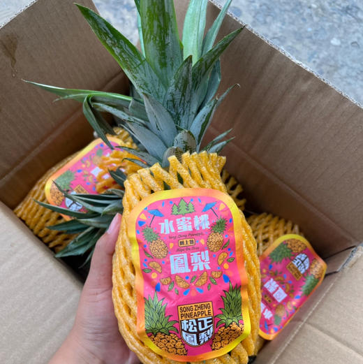 水蜜桃🍑凤梨
金钻凤梨常吃到，水蜜桃凤梨口感又会是不一样的层次🤩很好吃！！基本纯甜
果肉就像水蜜桃果肉的颜色～
吃起来也是爆汁甜💦
细腻、无纤维感 回味有淡淡的水蜜桃香🍑毛重6斤/箱，3-4头 商品图3