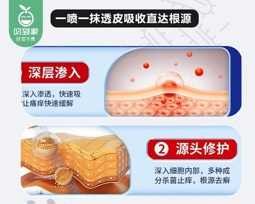 【预售-9月8日配送】鑫康泰狼毒组合/1组（喷剂60ml*1瓶+凝露20g*1支）限用日期：27年2月 商品图1