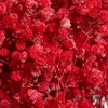 满天星 | 红色 商品缩略图1