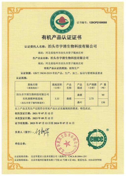 有机种植桑葚干 百年老树，头茬桑葚，自然晾晒，人工精选，无任何添加 商品图5