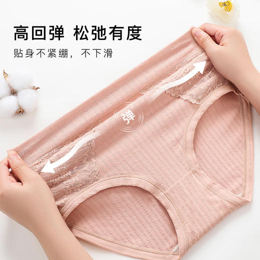 7A纯棉抑菌内裤女胖MM大码高腰收腹100%纯棉裆静思大码内裤3条装 商品图6