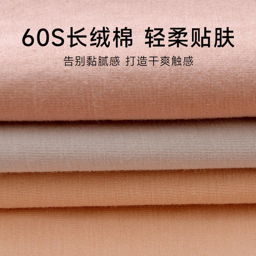 60支长绒棉无痕抗菌内裤女纯棉中腰薄款透气女士三角裤 商品图2