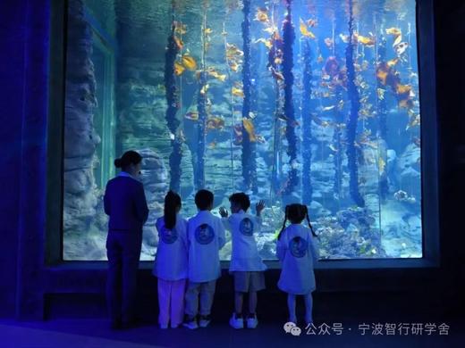 【智行研学】舟山版亚特兰蒂斯，2天1晚海底两万里夜宿营研学7.9-7.10（7月9日余姚兰江中学集合签到上午8:00出发 ） 商品图11