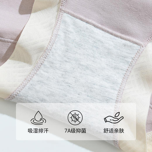 60支长绒棉无痕抗菌内裤女纯棉中腰薄款透气女士三角裤 商品图3