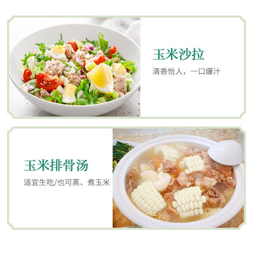 云南珍珠白.甜糯玉米（296项农残0检出） 商品图14