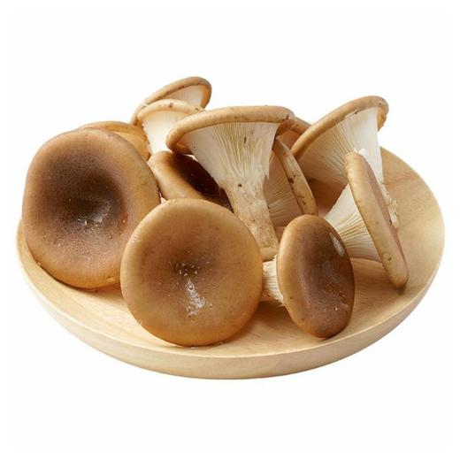 猪肚菇150g 商品图0