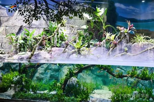 【智行研学】舟山版亚特兰蒂斯，2天1晚海底两万里夜宿营研学7.9-7.10（7月9日余姚兰江中学集合签到上午8:00出发 ） 商品图14