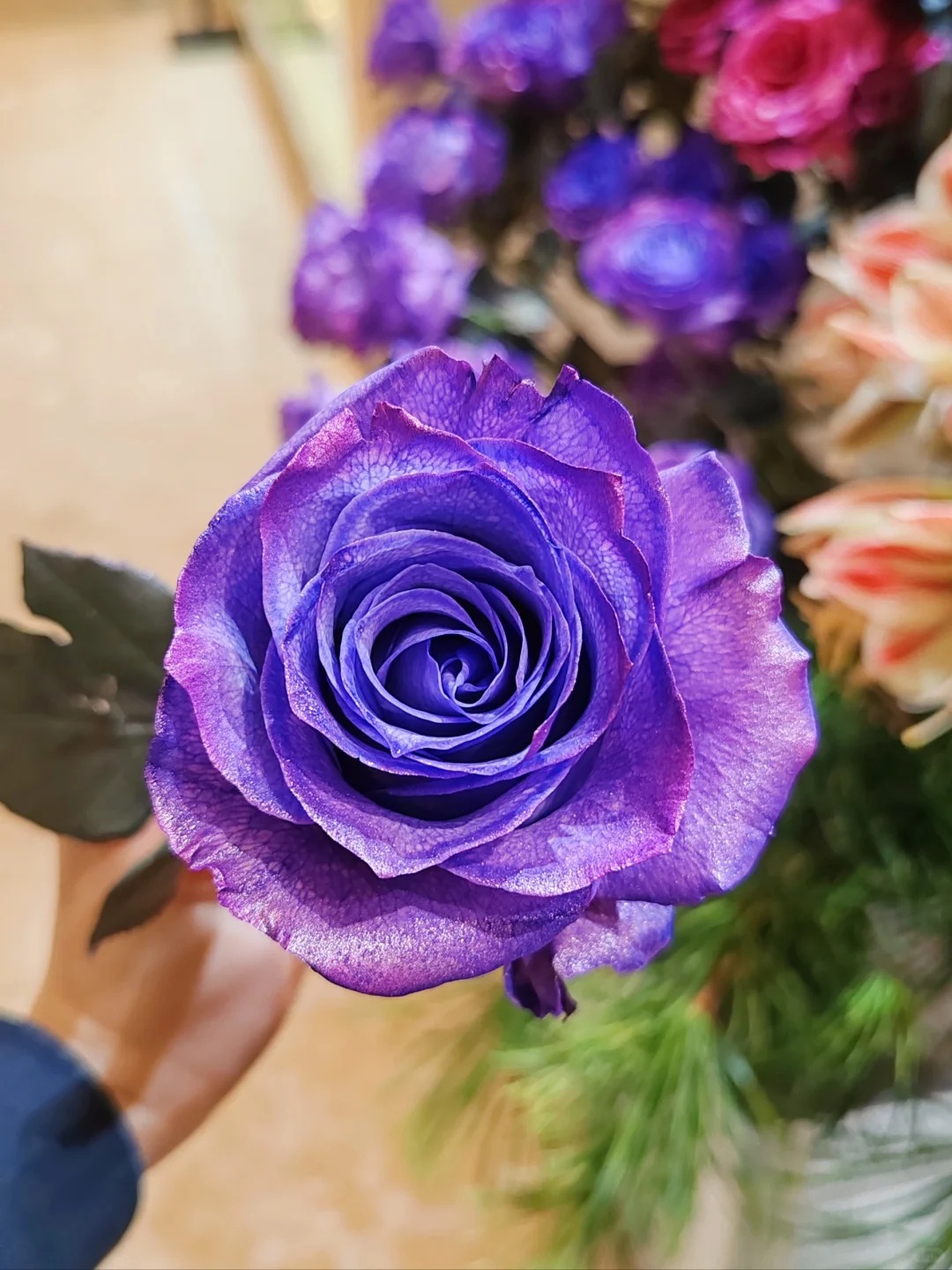 厄瓜多尔高端进口dewberry metallic金属紫玫瑰花10支