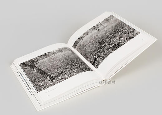 Jo Ractliffe: Photographs 1980s–Now / 南非摄影师 乔·拉特里夫：1980年代至今的摄影 商品图3