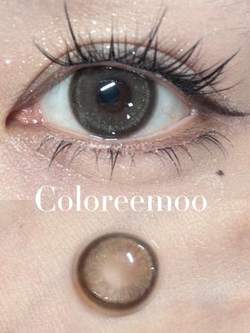 【🍃淡颜自然年抛】仙光冷茶 仙光墨蓝 Coloree Moo