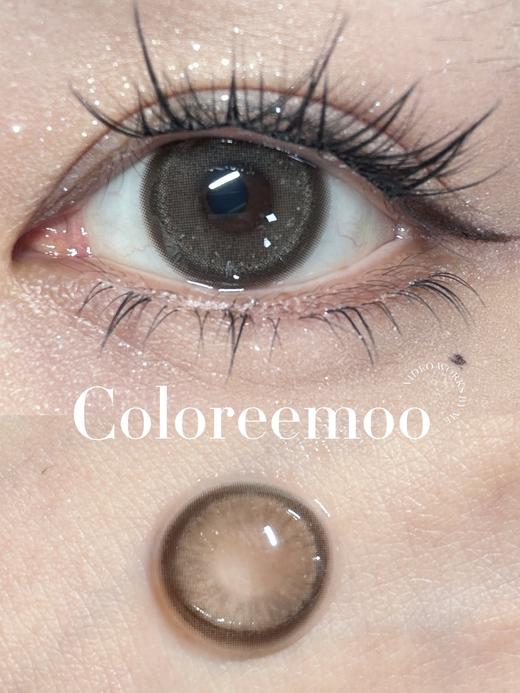 【🍃淡颜自然年抛】仙光冷茶 仙光墨蓝 Coloree Moo 商品图0