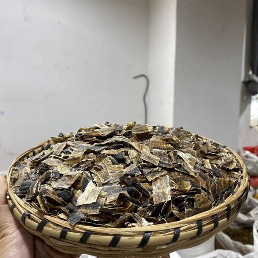 地龙  全破开地龙身 99%地龙身 泥土极少 商品图1